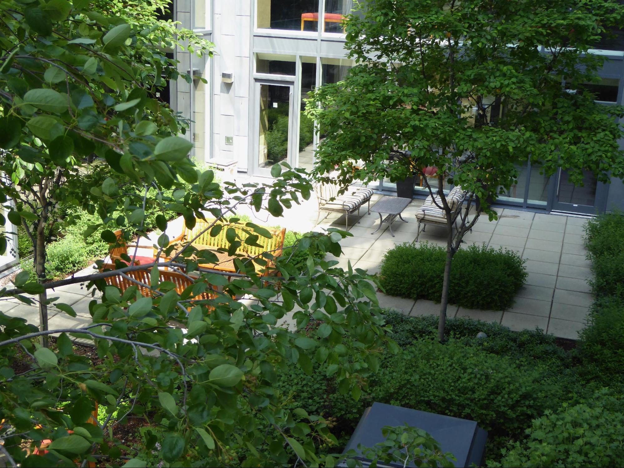 Garden Courtyard